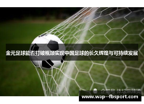金元足球能否打破瓶颈实现中国足球的长久辉煌与可持续发展